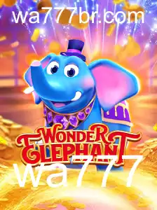 Descubra o Mundo de WonderElephant: Um Jogo Fascinante